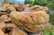 黄蜡石：一种百搭且容易融入环境的石头