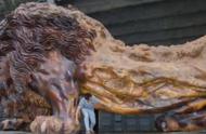 广西男子创作出高达15米的根雕雄狮，富商出价300万被拒，如今其作品无人问津