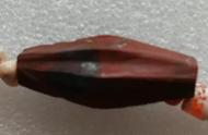 战国时期的枣核形红玛瑙珠子