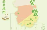 绿茶对决：浙江龙井与安徽六安瓜片的较量，安徽能否扭转局面？