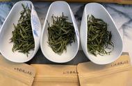 如何妥善保存绿茶？