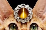 揭秘真相：猫眼石与猫眼效应宝石的区别是什么？