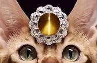 探索猫眼石的神秘魅力：特征与价值评价