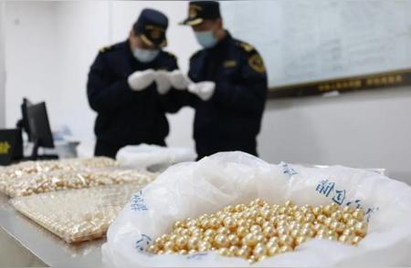 深圳湾海关查获价值362万元海水养殖珍珠，海关严查走私活动
