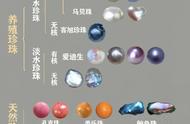 揭秘珍珠的魅力：一张图看懂珍珠合集篇