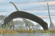 揭秘新疆巨型恐龙化石：脖子比身子还长？