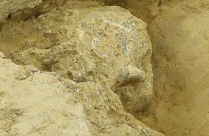 湖北重大考古发现：第三具古人类头骨化石惊现！