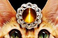 揭秘金绿猫眼：真正的猫眼石传奇