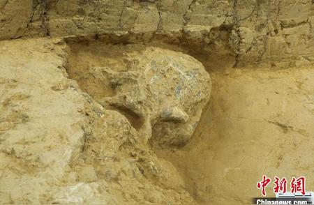 实证中国百万年人类史：考古发现距今百万年的头骨化石