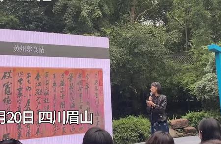 《寒食帖》：揭秘‘天下第三行书’背后的情感故事