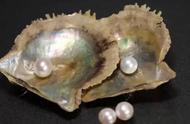 淡水珍珠与海水珍珠：揭秘二者的神秘面纱