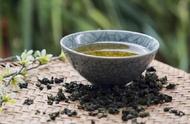 揭秘青茶与乌龙茶的渊源关系