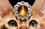 猫眼石的神秘面纱：解析其来历与特性
