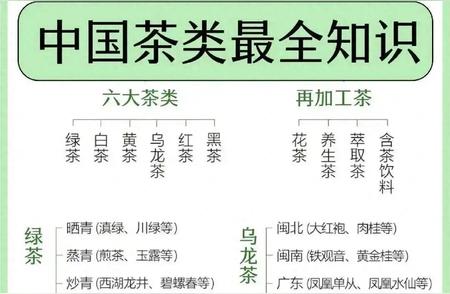 1. 茶叶知识大全：从入门到精通的指南