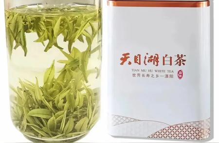 天目湖白茶：江苏新宠，荣登中国十大名茶之列