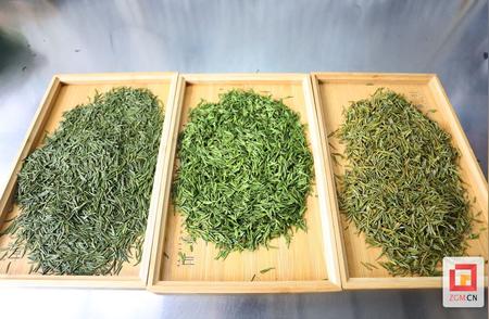 荣县夏茶：茶香四溢的季节