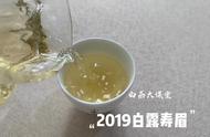 深冬品茗：寿眉散茶与饼茶的独特韵味