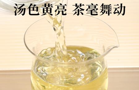 茉莉花茶的超全面解答，带你深入了解