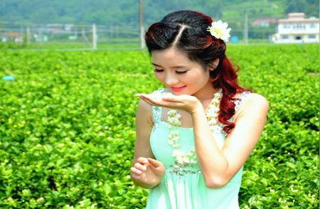 探索北京人对花茶的热爱背后的原因
