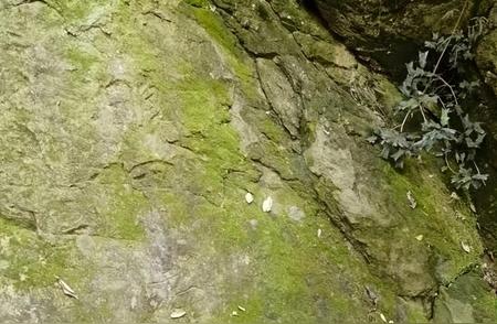 天马山摩崖石刻新发现：南宋时期镌刻揭秘