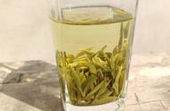霍山黄芽是否真沦为绿茶？揭秘核心产区的真实情况！