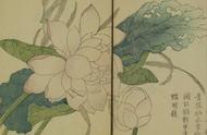 《芥子园画谱》之十五：早稻田大学藏版翎毛花卉中卷赏析