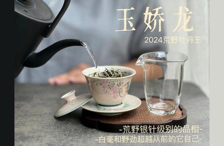 泡茶专用水与普通水质的对比研究：哪个更适合泡茶？