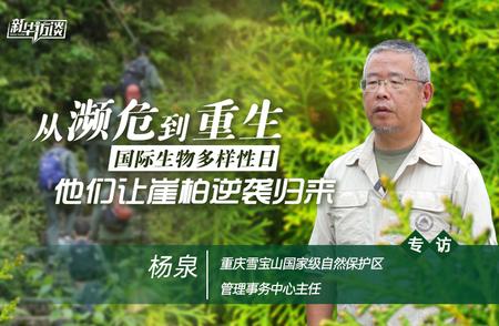 新华访谈揭秘：崖柏如何从濒危走向逆袭之路