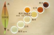 中国茶叶大全：一张图带你了解千年茶文化