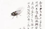 齐白石笔下的蝉：解析画作中的生命之美