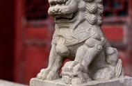 服务指南：洛阳河洛石文化博物馆的全方位指南