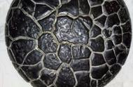 湖南产的似乌龟石头：真假难辨的自然奇观