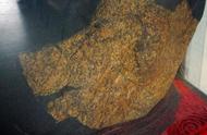 湖北宜昌石友的珍贵发现：6.8亿年前的金猪奇石，价值2100万！