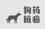 国内逾5000癌症患者尝试犬用药，能否成为救命稻草？