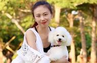 博美犬的魅力：美女为何偏爱有缺点的它们？