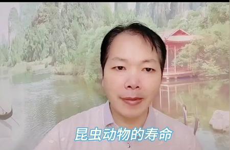 探索动物世界的长寿奥秘：哪些动物能活过80年？