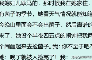 云南人吃菌子的独特魅力：一种疯狂的热爱