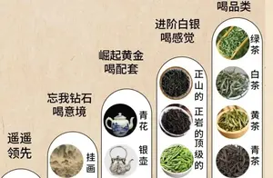 揭开喝茶的鄙视链：一场独特的文化争议