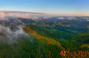 承德木兰围场五道沟秋季美景大赏