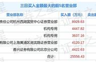 机构合买股票大揭秘：投资背后的策略与考量