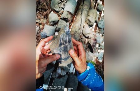 重庆明月山惊现2亿年前木化石，揭示古长江起源之谜
