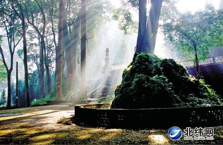 揭秘荥经云峰寺的神秘太湖石