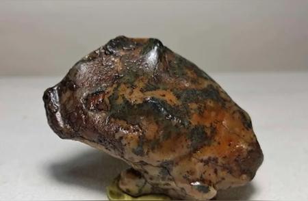 戈壁生肖石的精选集：十二生肖象形奇石欣赏