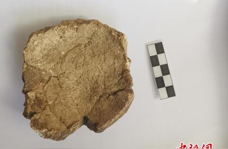 周口店北京人遗址：新出土的古人类顶骨化石