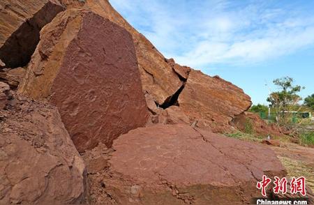 专家呼吁保护福建上杭新发现的罕见恐龙足迹化石