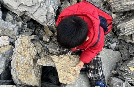 5岁男孩的意外发现：5亿年前古生物化石现身山间！
