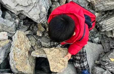 5岁男孩在山东临沂爬山时意外发现5亿年前的古生物化石！