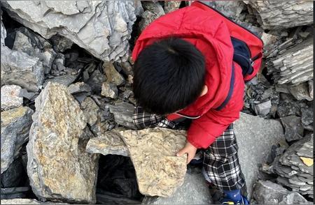 官方揭秘：男孩爬山意外发现化石，背后真相引人深思！