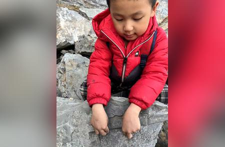 5岁男孩偶然发现5亿年前古生物化石：专家确认为晚寒武纪三叶虫