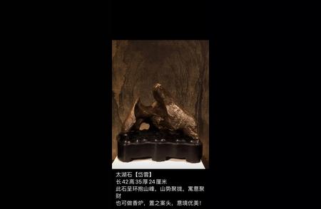 岱雲太湖石：自然之美的瑰宝